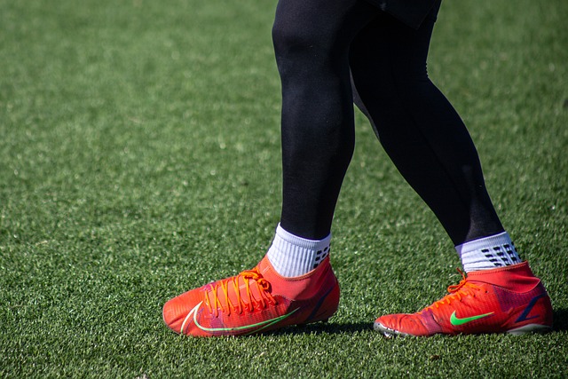 港队选手马 港队选手马