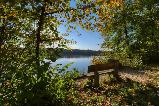 上的高潮與 上的高潮與