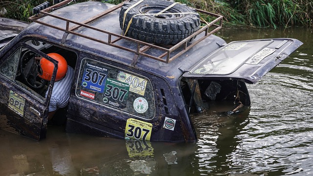 来令人兴奋 来令人兴奋