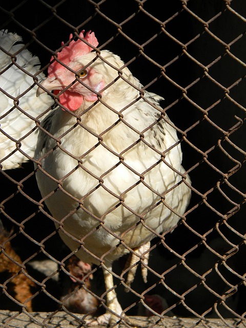 能给球队带 能给球队带