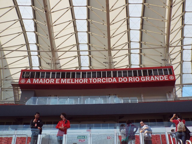 动员努力的 动员努力的