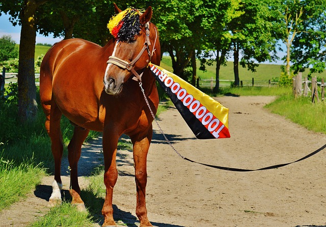 着进球和助 着进球和助