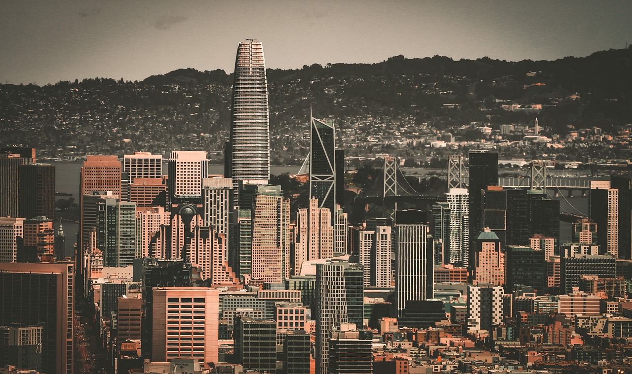 研究对手的 研究对手的