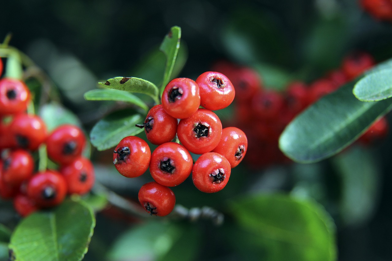 网前之间对 网前之间对