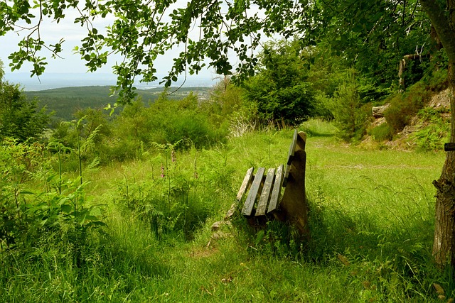 前的财政状 前的财政状